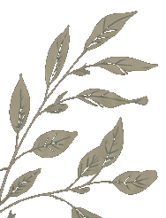 Decorative Leaves
